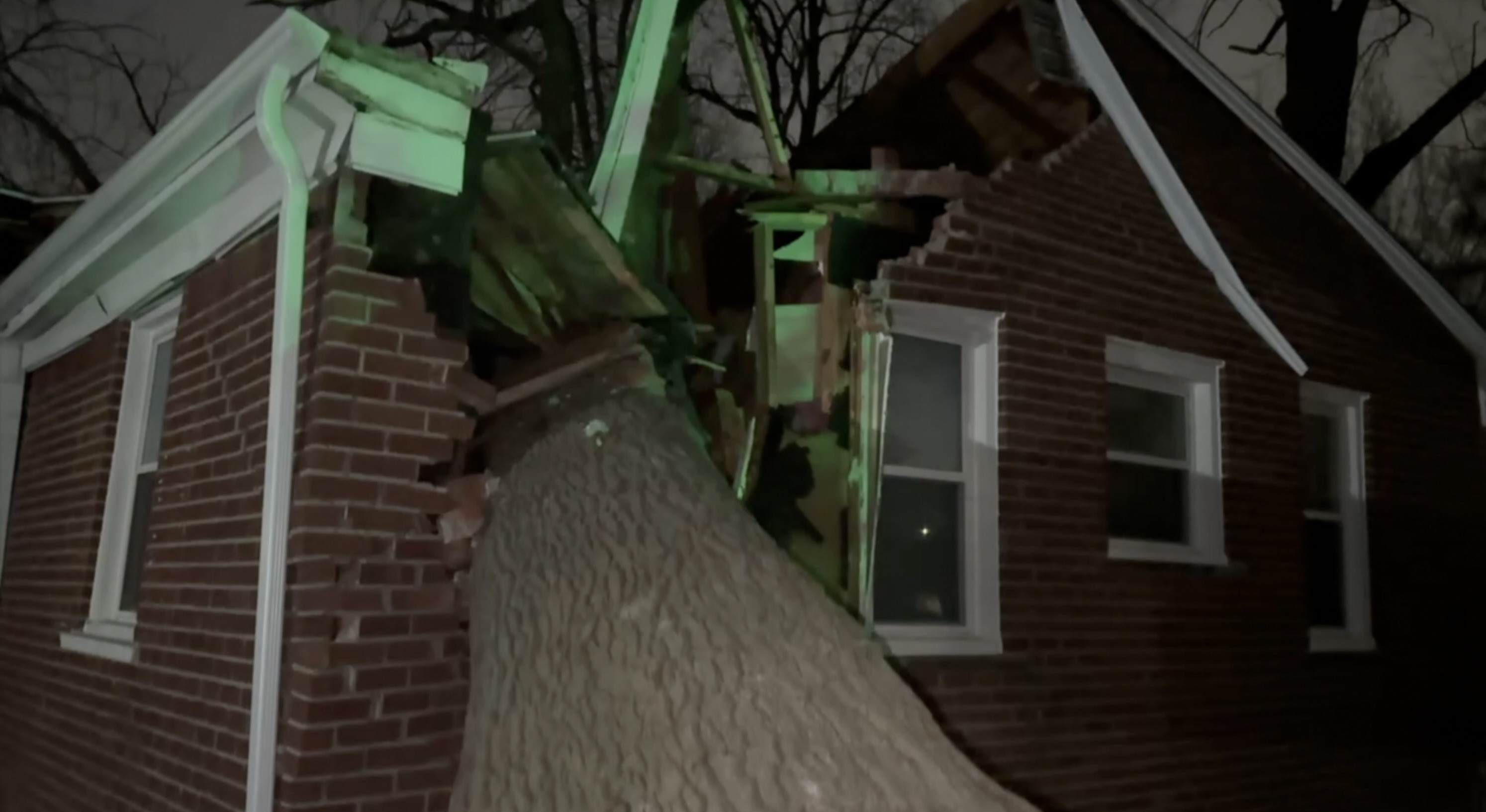 A tree crashed into a Redford Township home during high winds, displacing a couple 