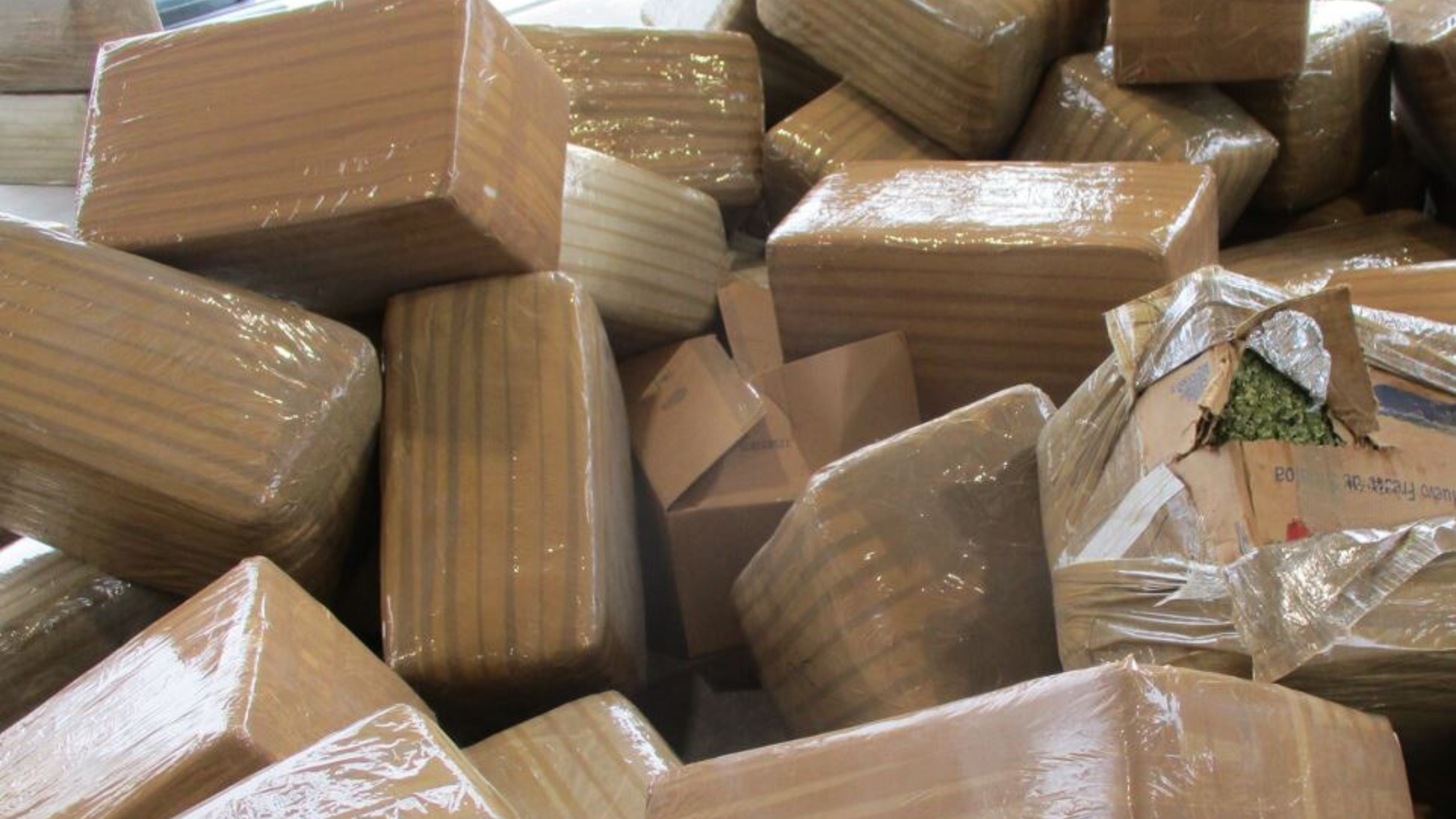 marijuana seized from border 9-22-23