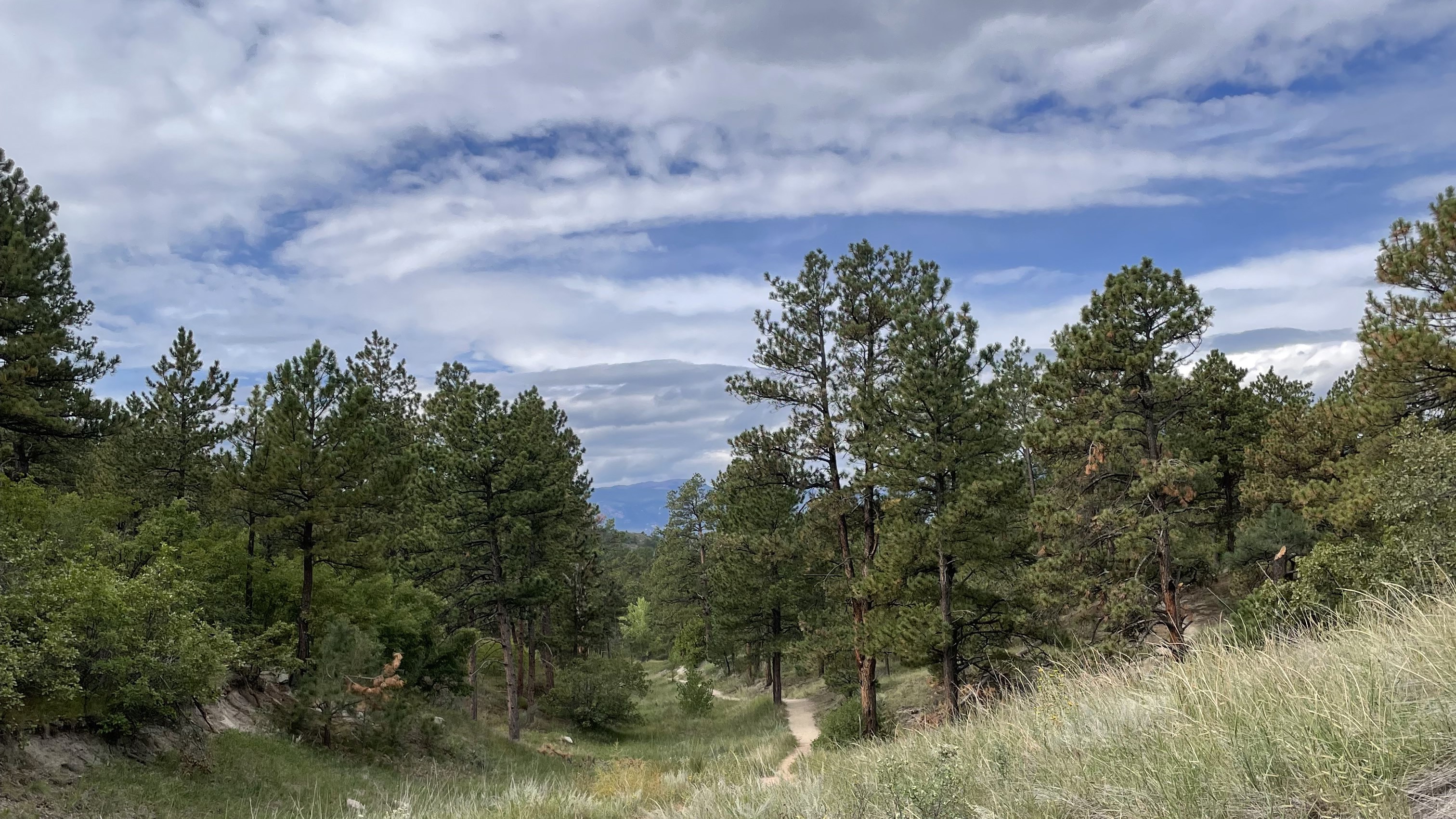 Rita Peiffer Austin Bluffs Open Space