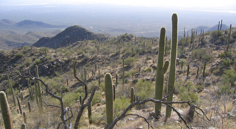 TRAVEL TRIP TUCSON HIKING