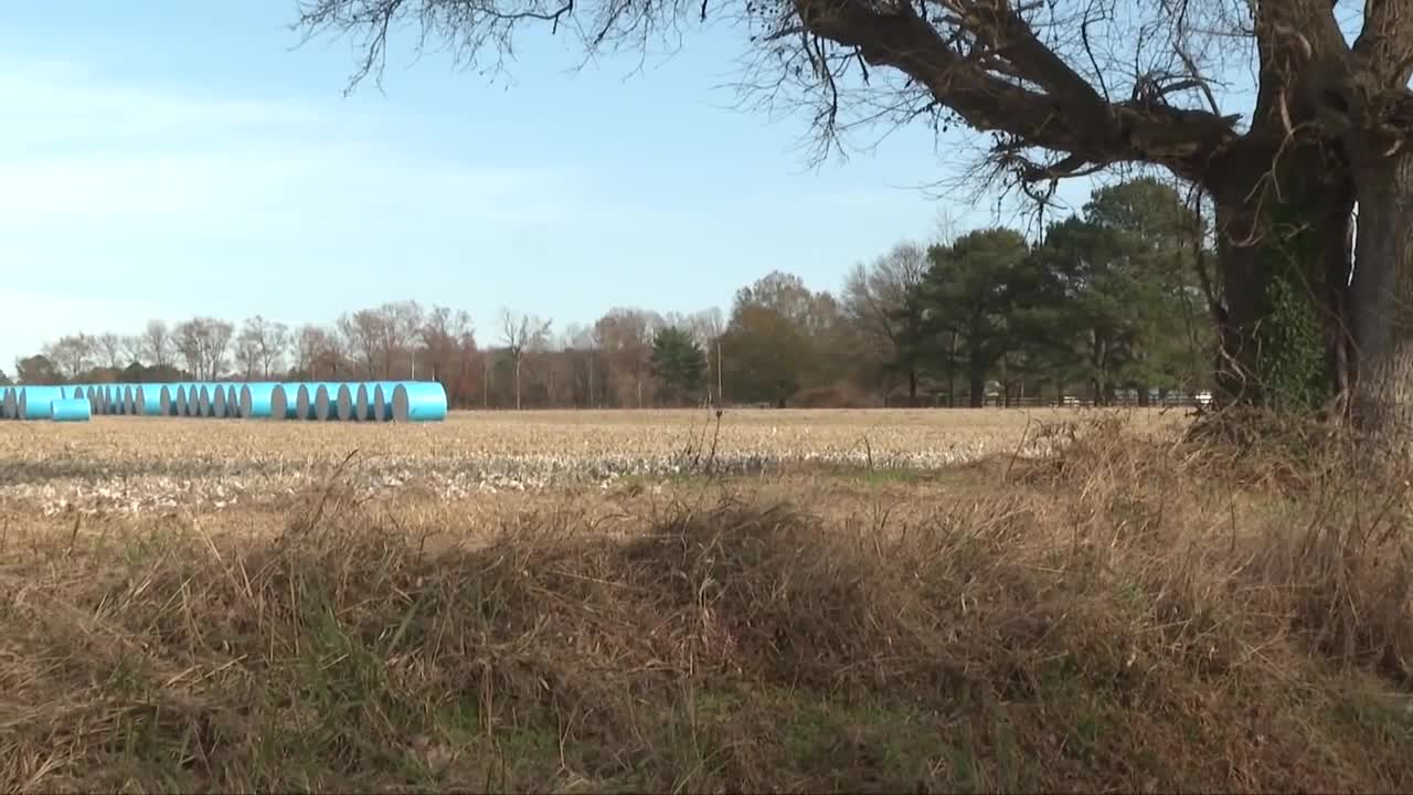 Poster image - 2025-11-19T121750.560.jpg