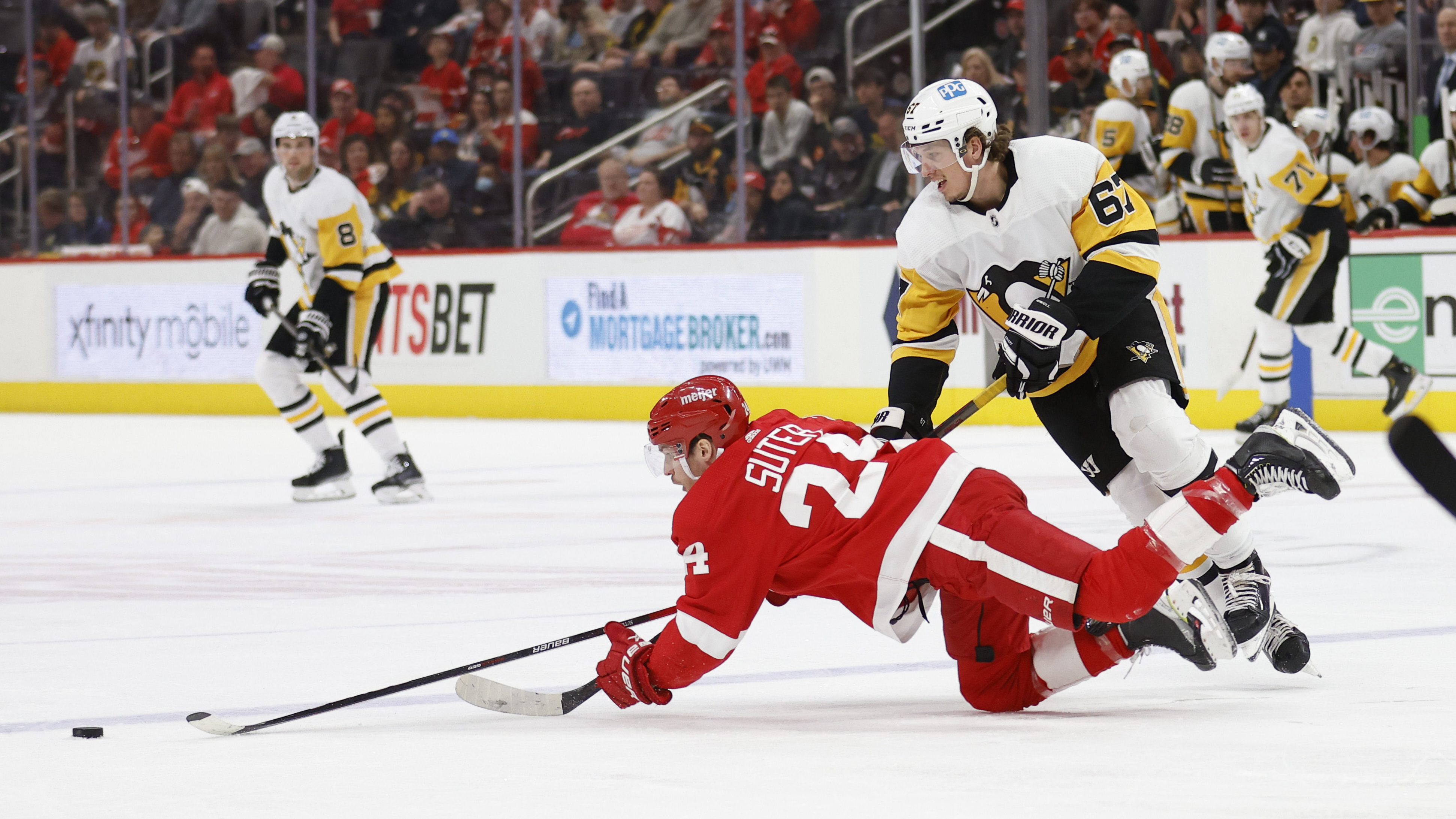 Pius Suter, Rickard Rakell Penguins Red Wings Hockey