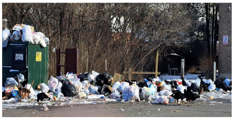 Trash at Kenan Gardens