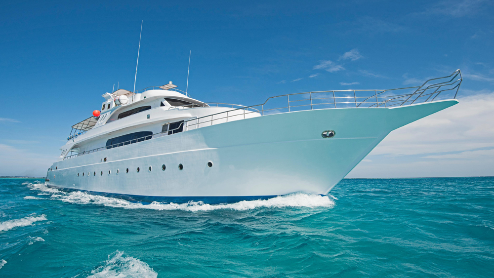 Yacht tester. It's an exacting position. Really. But someone's gotta do it.