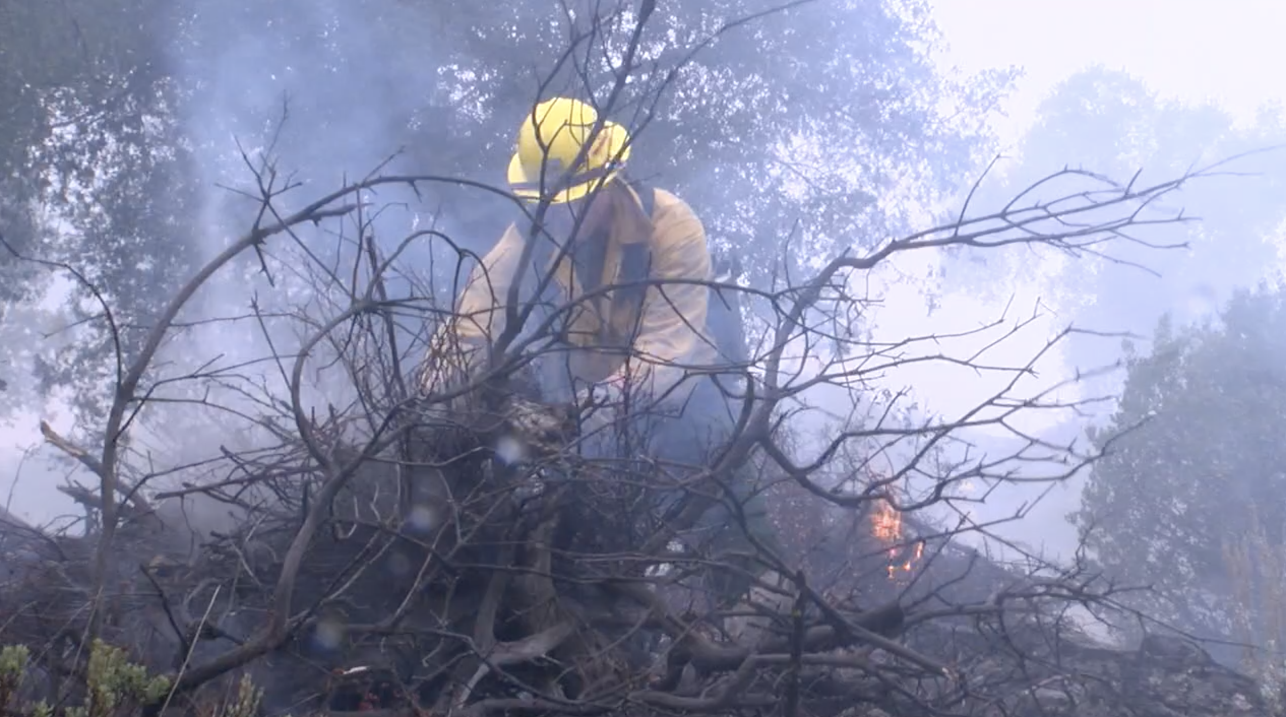 Forest Service conducts controlled burns taking advantage of cooler weather.png