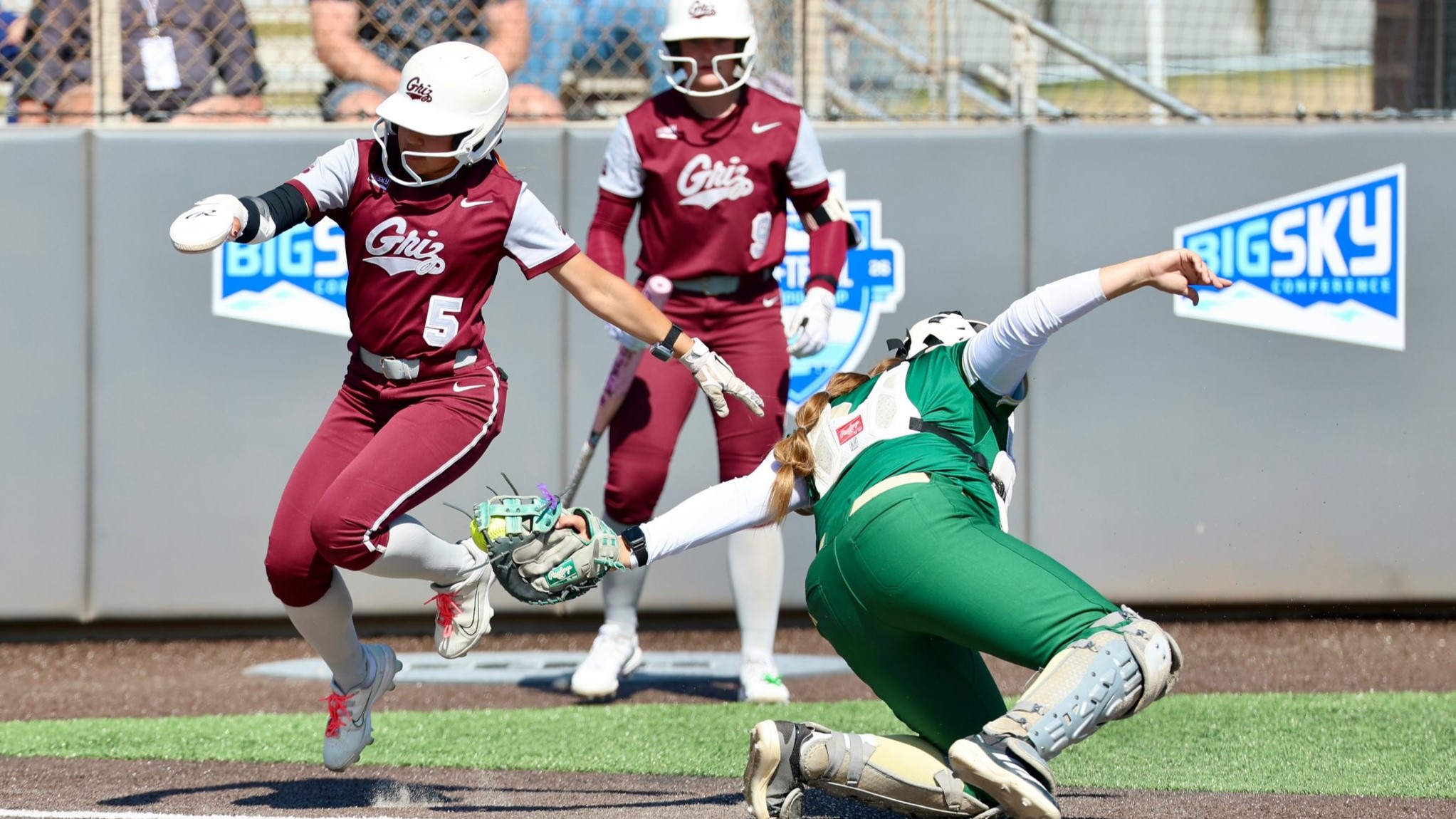 Montana softball