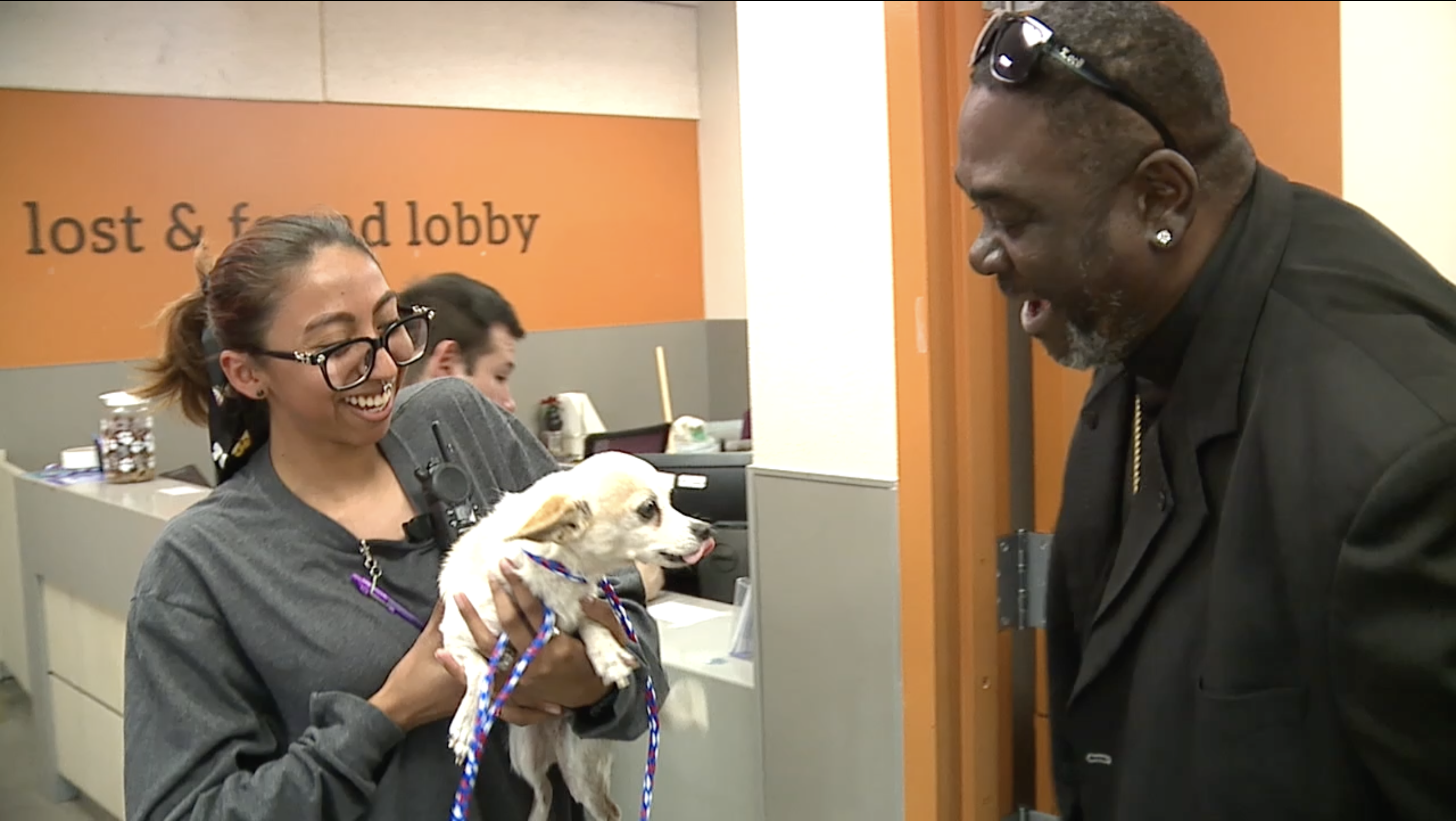 Local shelters work to reunite lost pets with families after Fourth of July fireworks