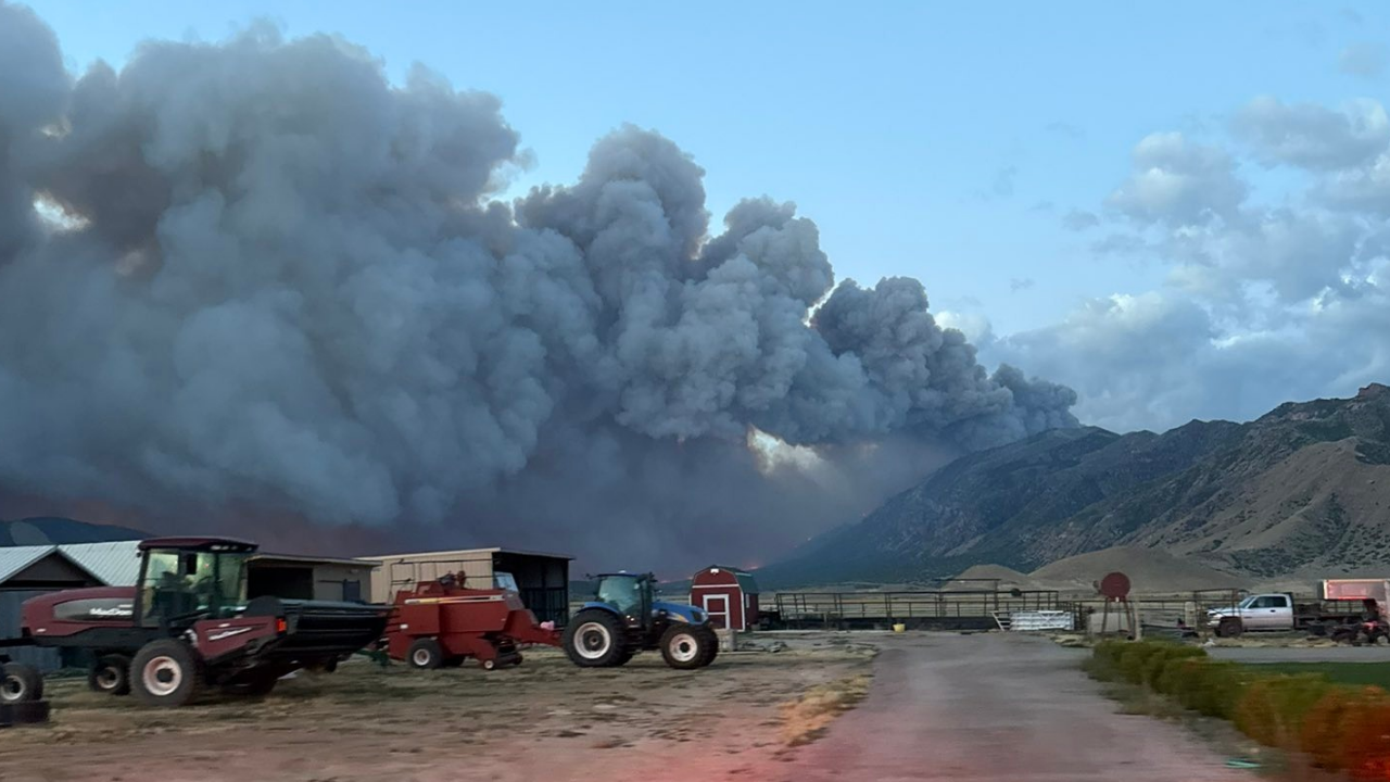 Wild Goose Fire_20260627_063521_0000.png