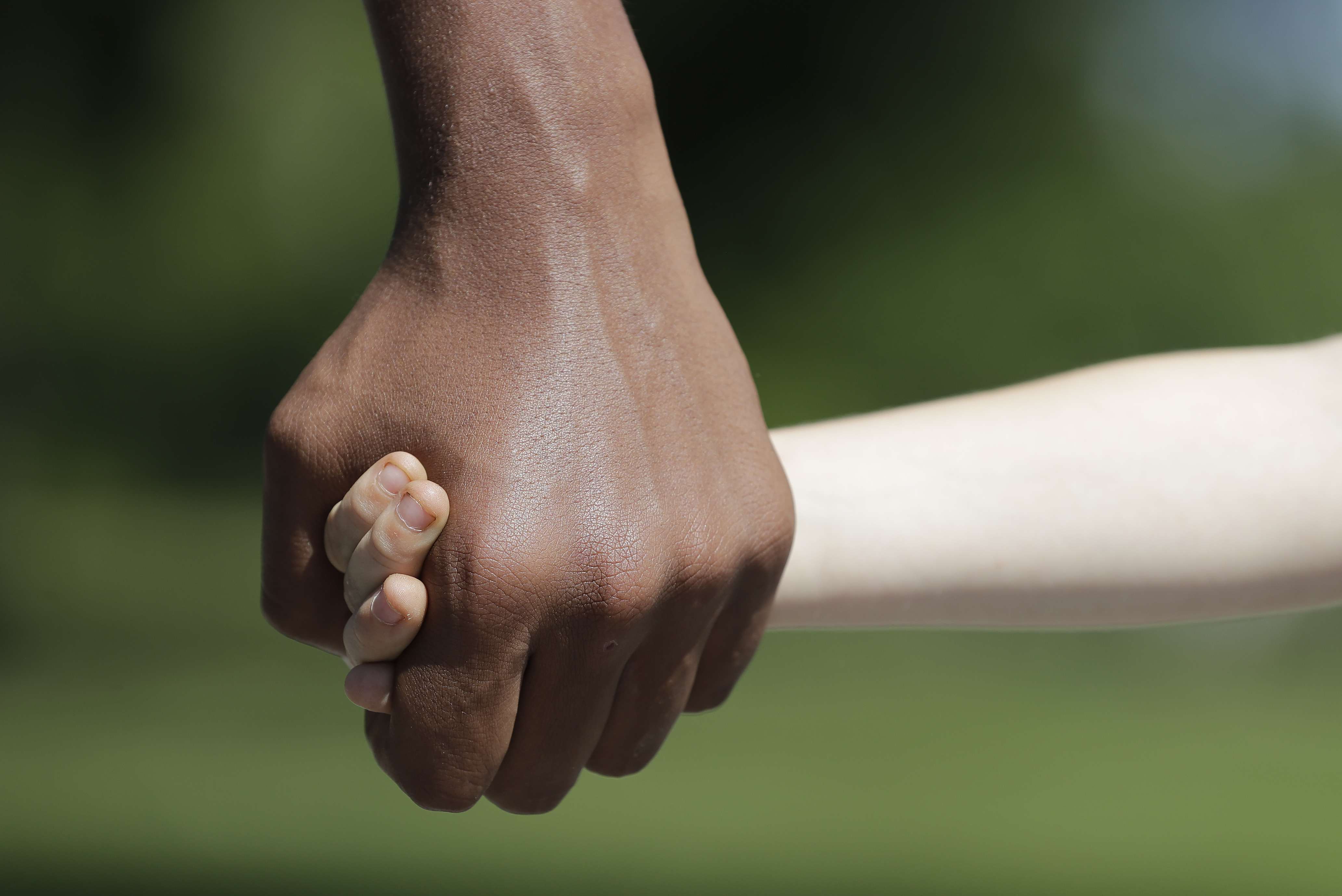 Children, holding hands, adoption, white and black