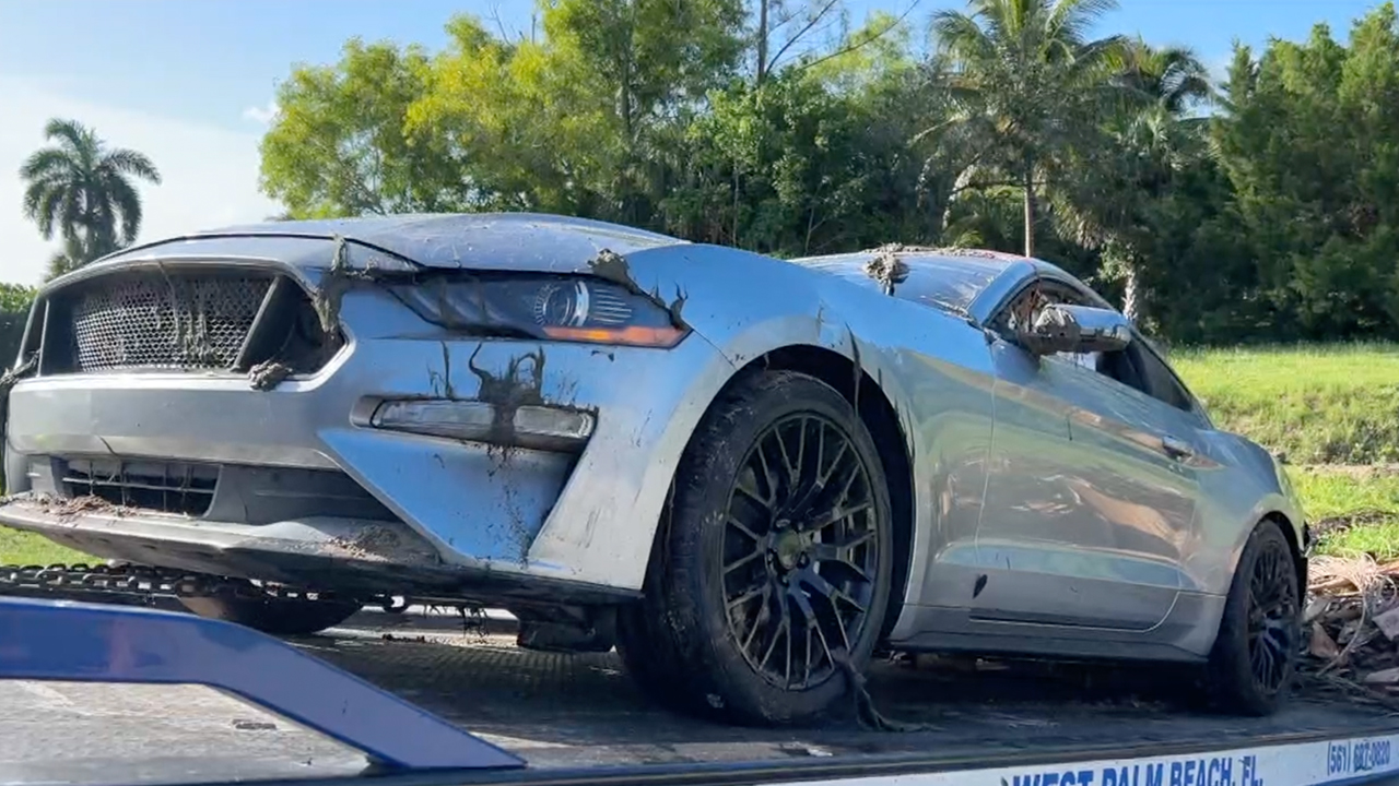 A silver Ford Mustang is pulled from a canal at Rosetta Trail and Dillman Road in Palm Beach County on Aug. 21, 2024.jpg