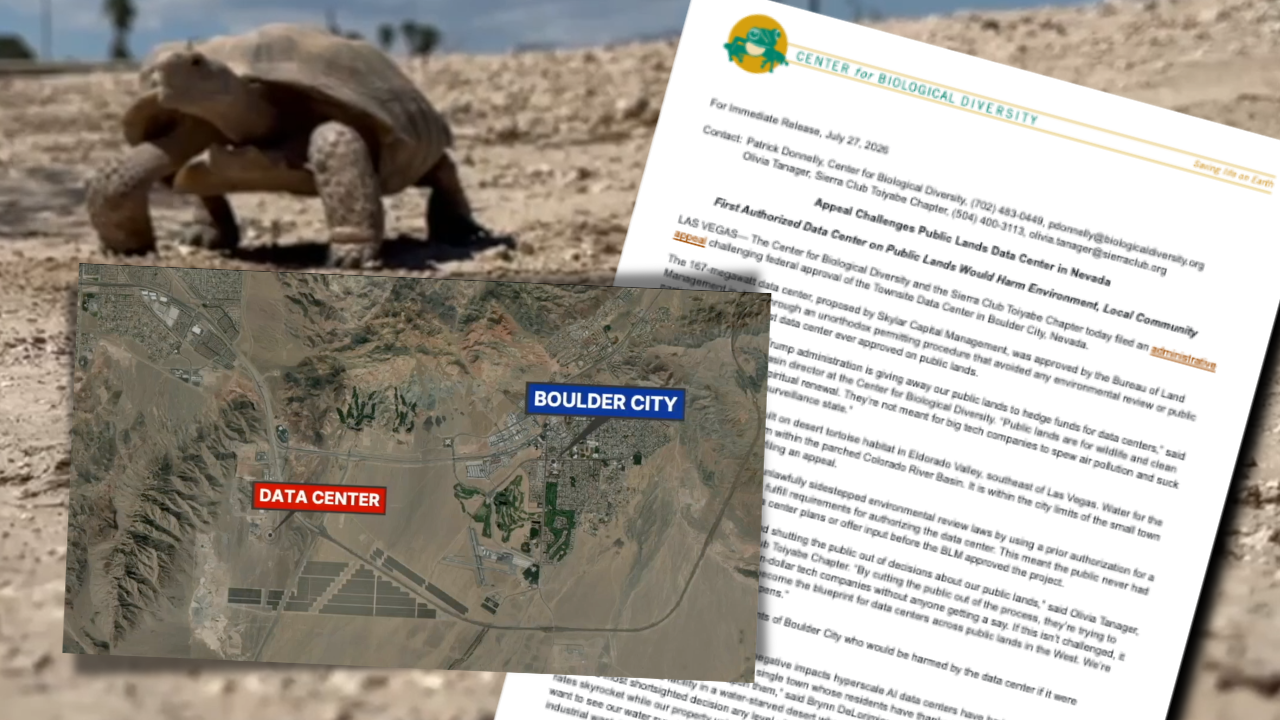 Environmental groups file federal appeal against data center planned just outside Boulder City