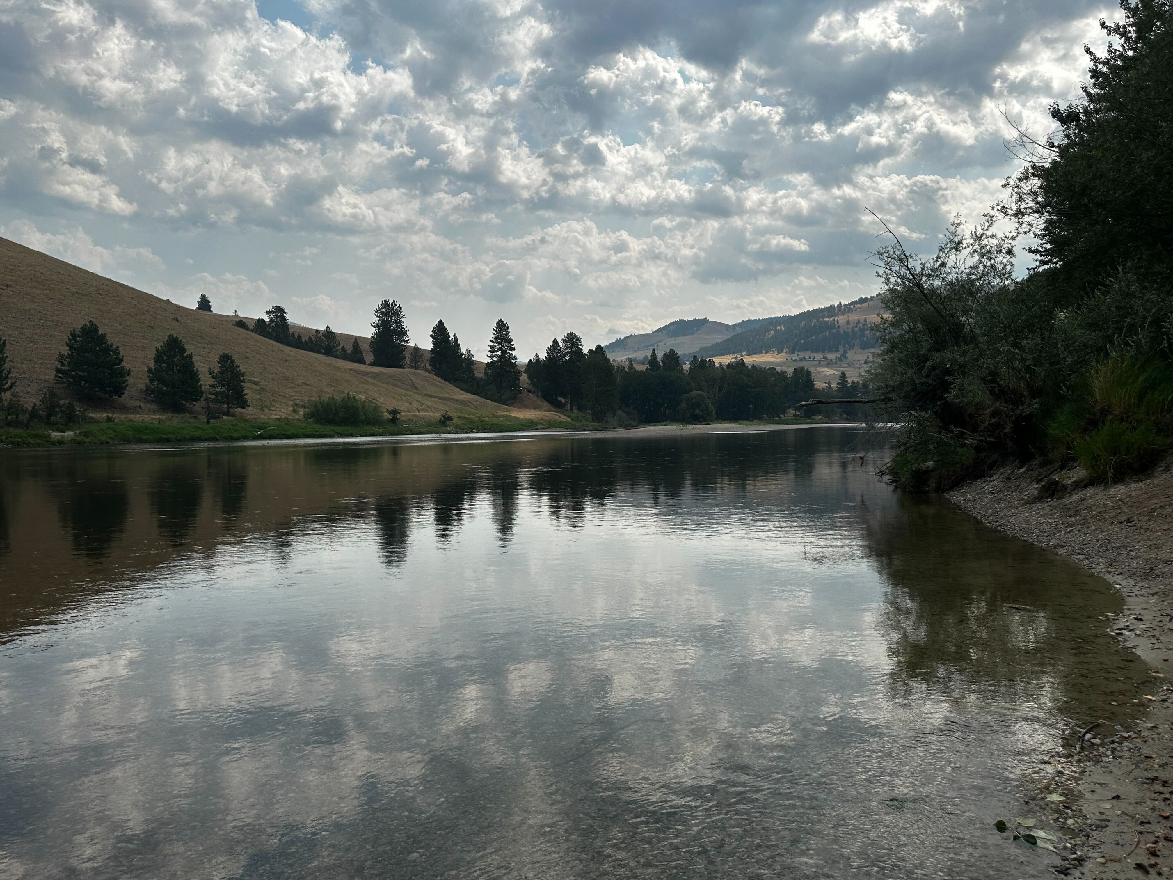 Bitterroot River Lolo