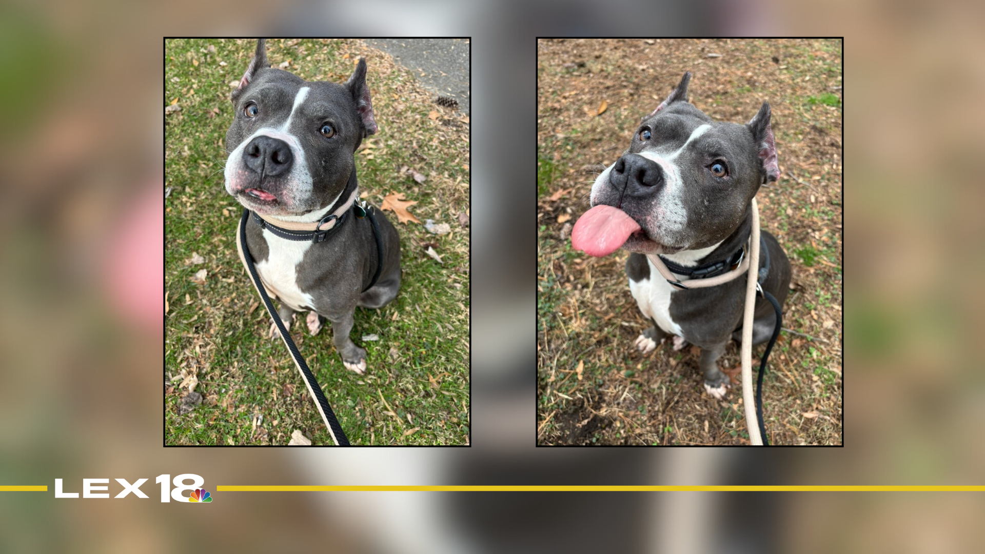 Featured Image Custom Edit.png