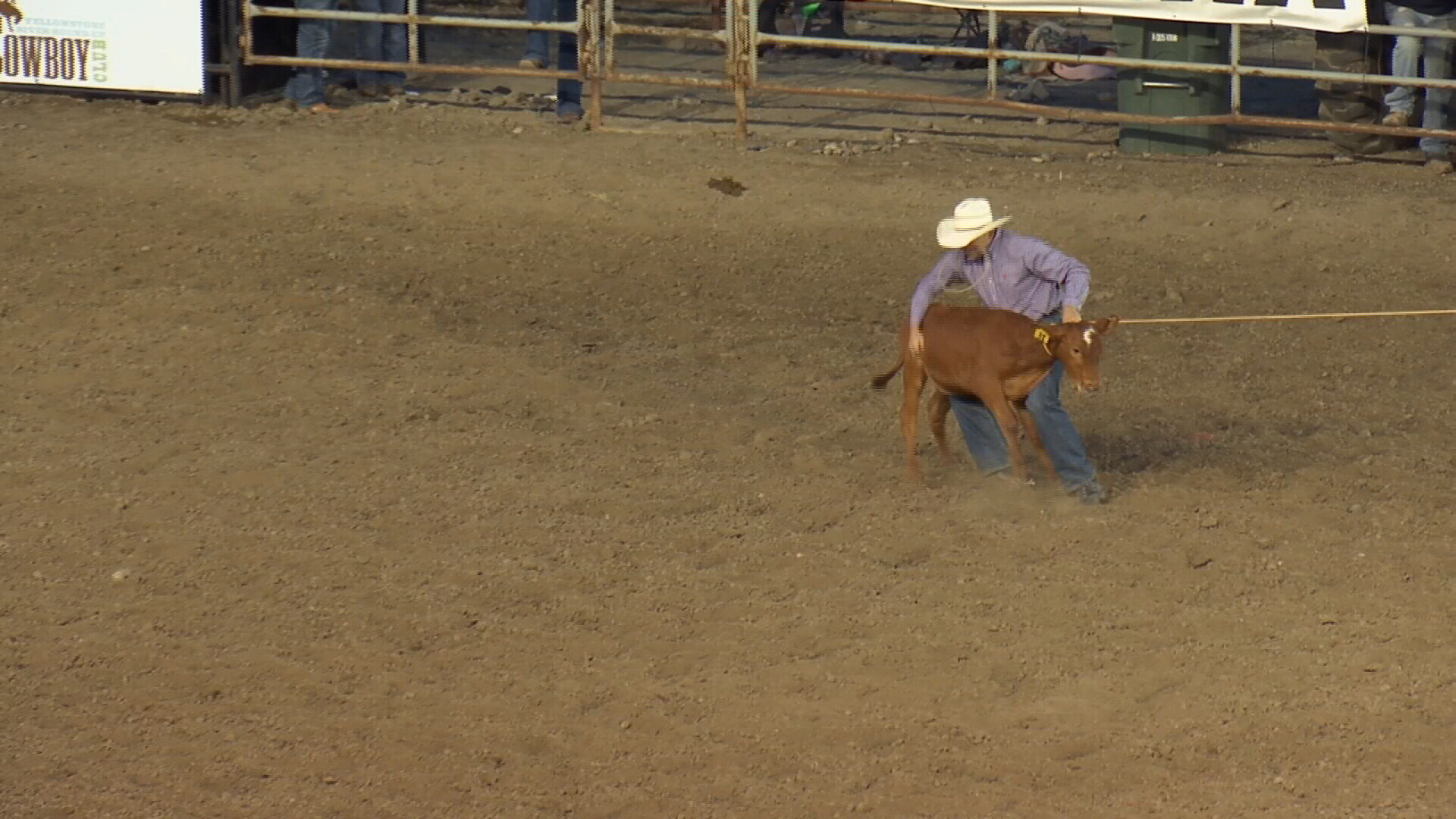 Cody McCartney tie-down roping
