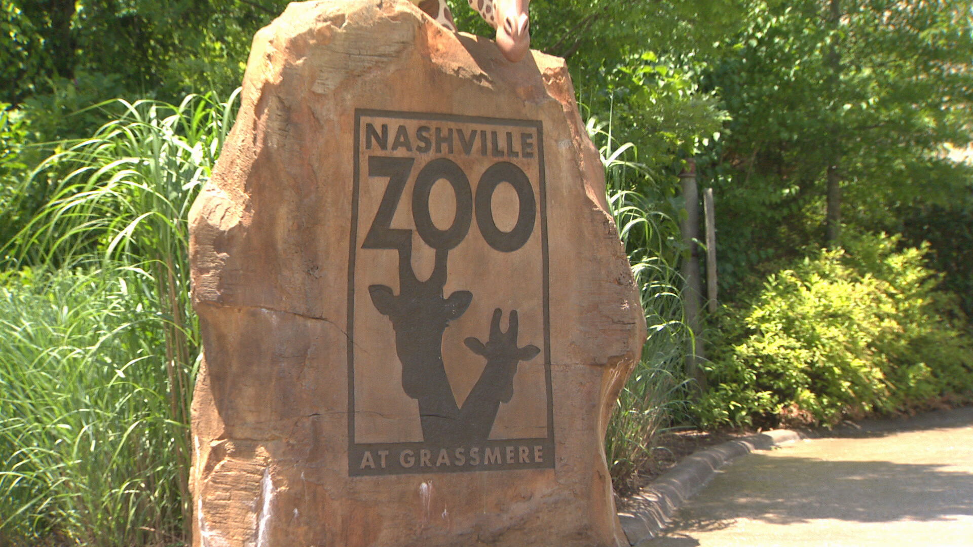 Nashville Zoo