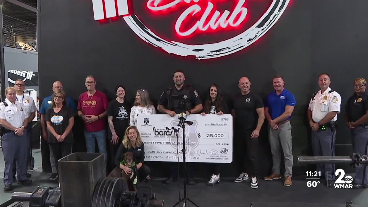 Amy Caprio Classic.jpg