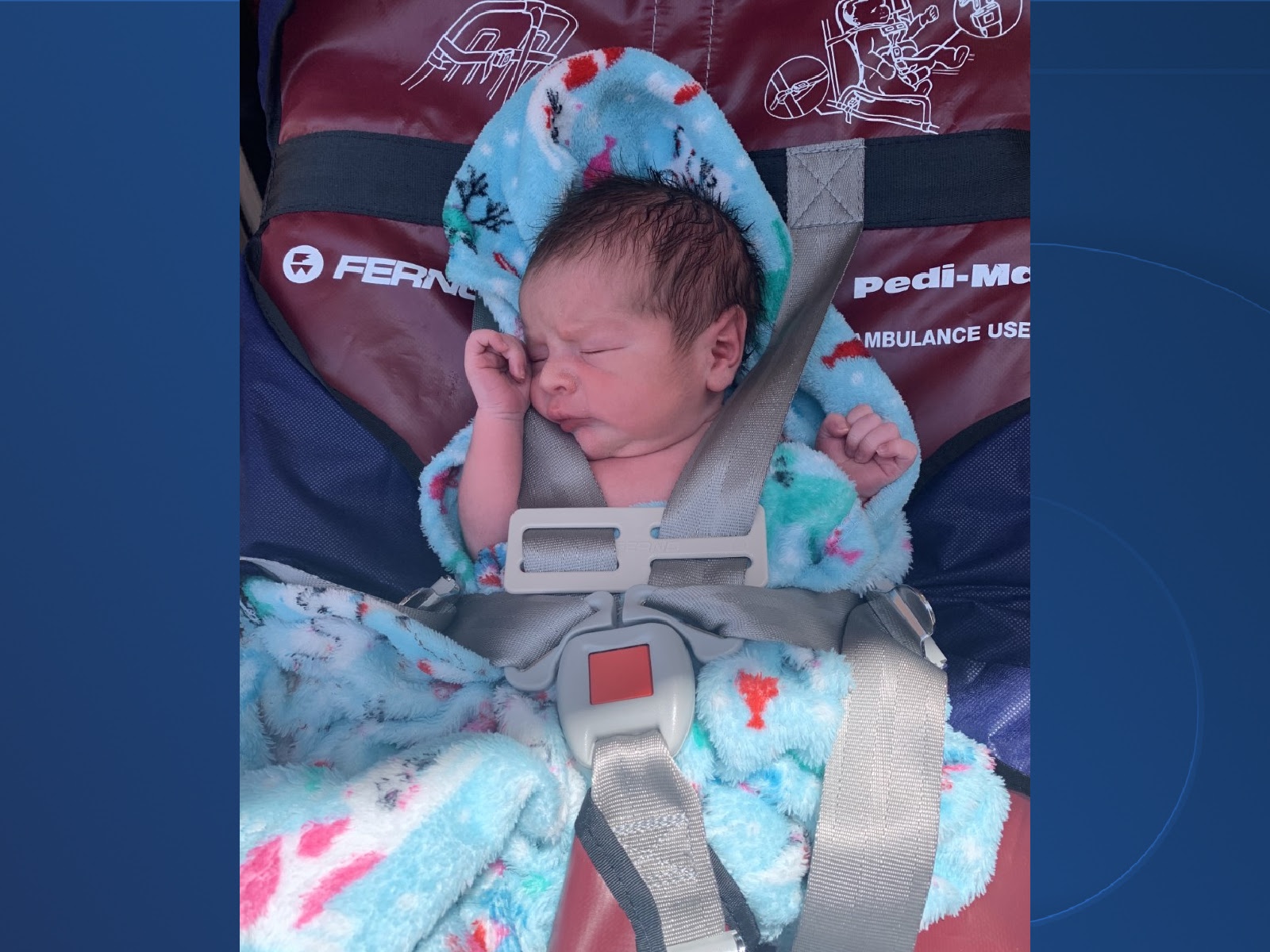 newborn baby found in mesa