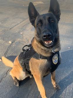 Ranger