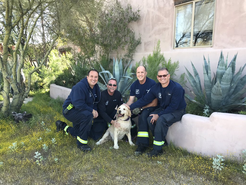 Scottsdale FD Golden Retriever