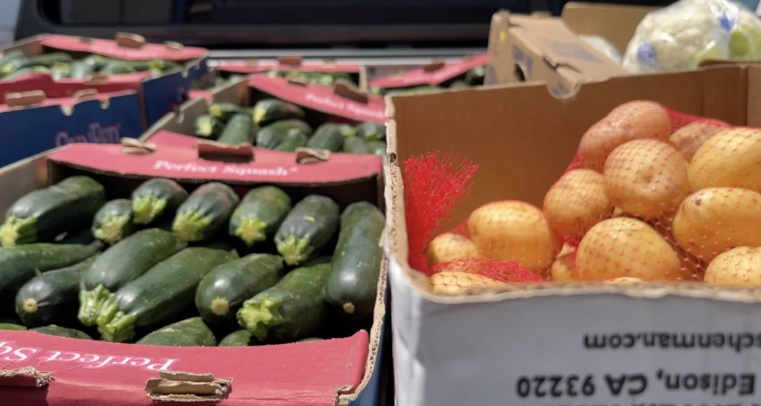 food bank.jpg
