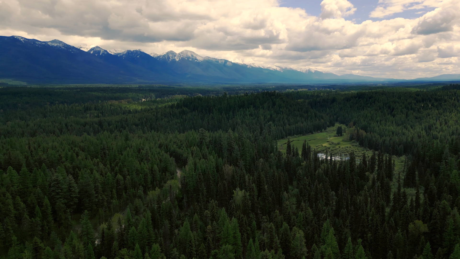 Piper Creek