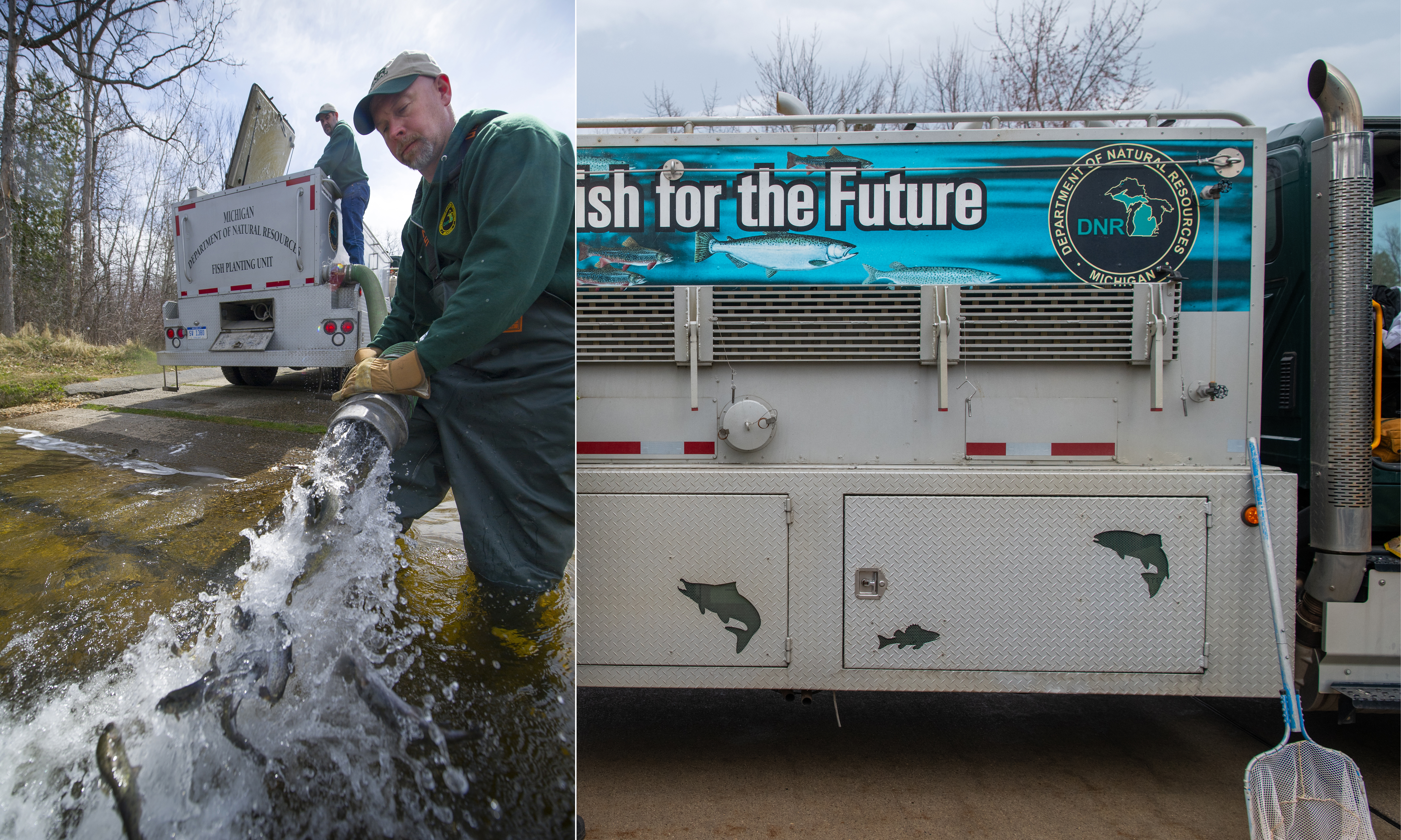 dnr fish stocking.jpg