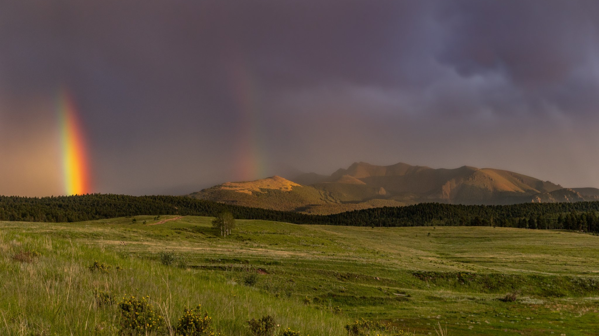 Double Rainbow