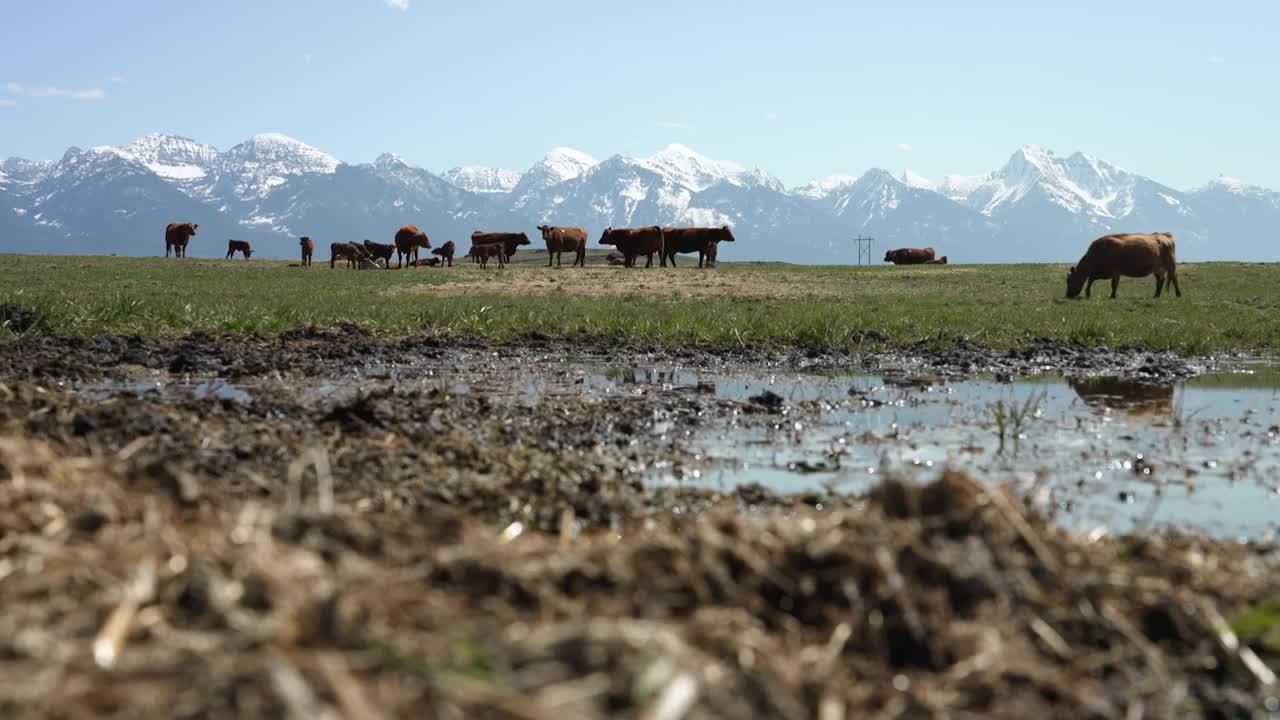 MT AG Easements