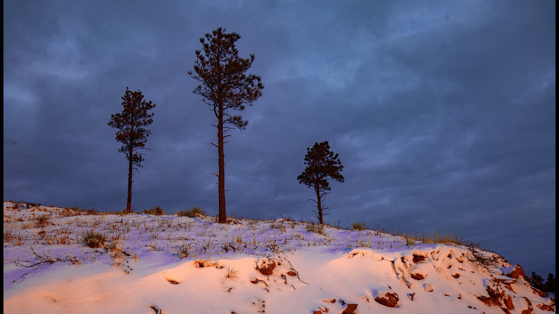 Mt. Herman Road sunrise