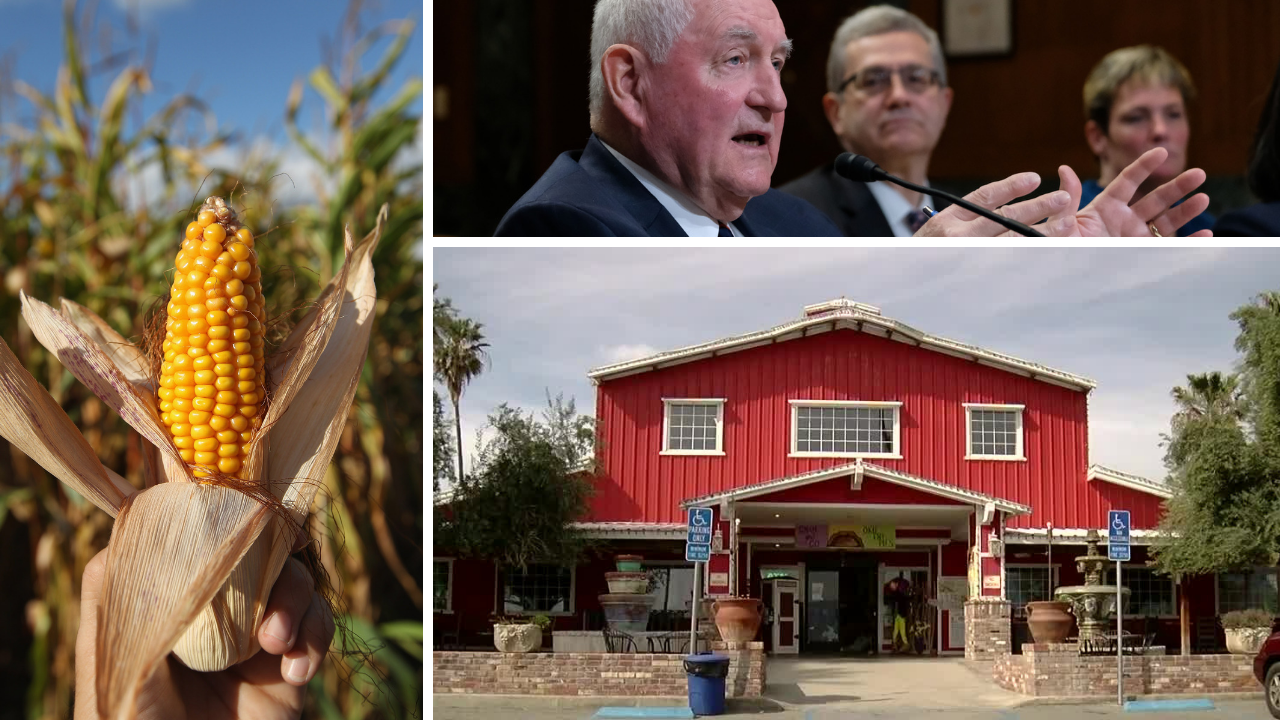 Ag Report: Corn, Sonny Perdue, Murray Family Farms