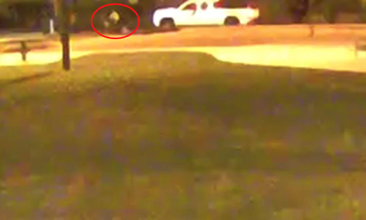 deadly shooting at elyria park july 20 2022.png