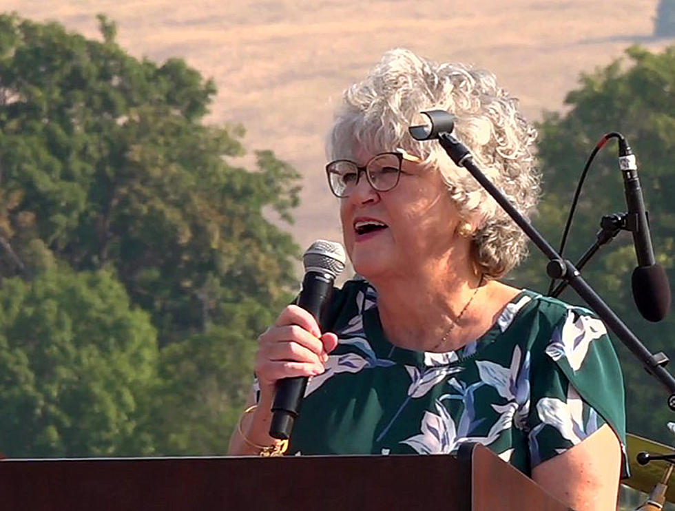 Susan Hay Patrick