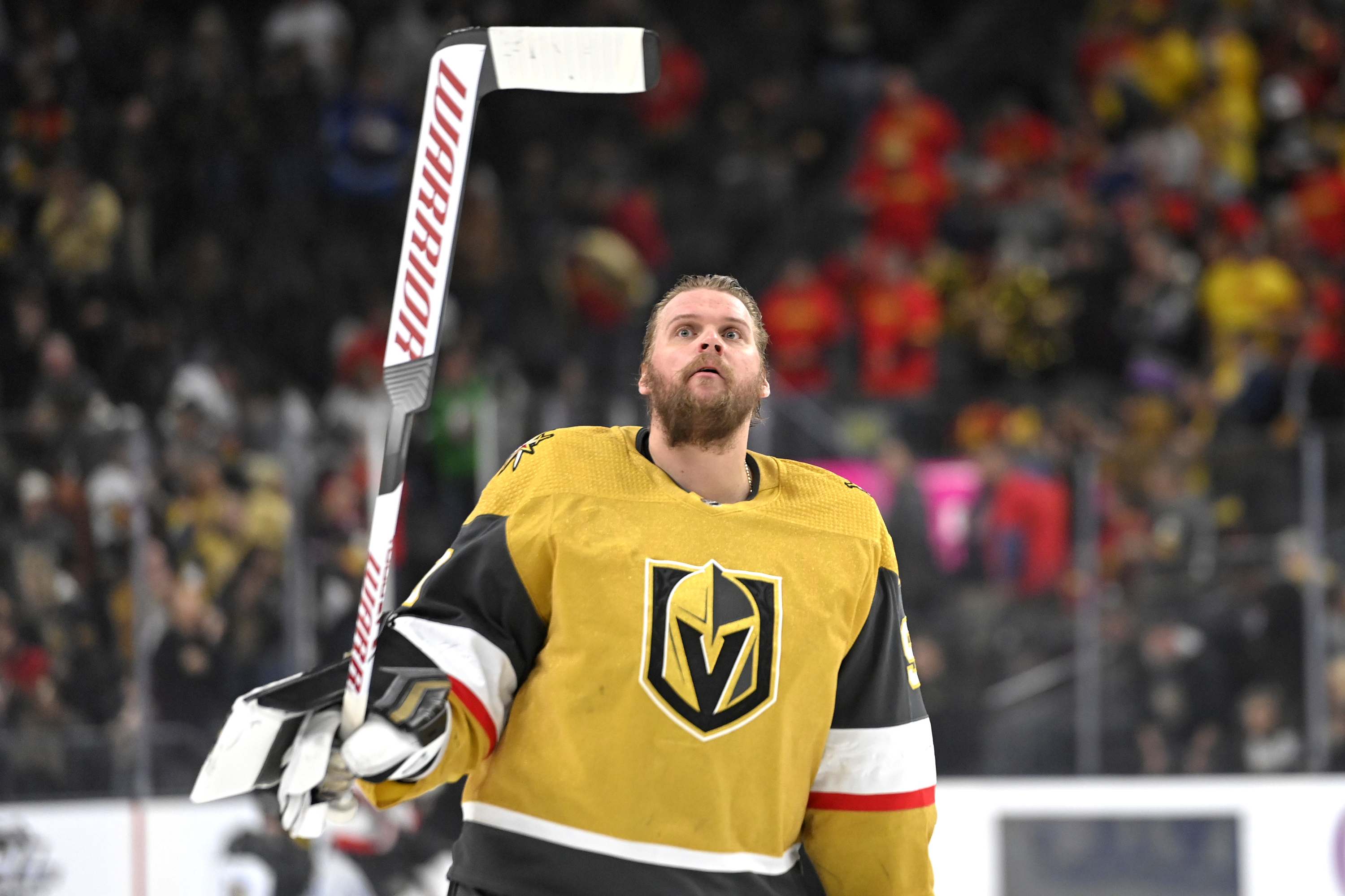 Robin Lehner