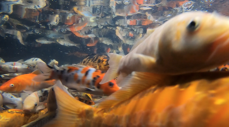 Screenshot 2026-01-21 at 6.07.00 PM.png