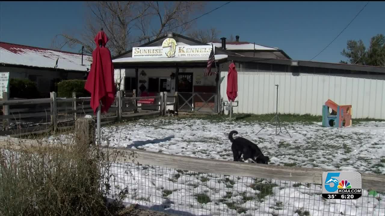 dog kennels 