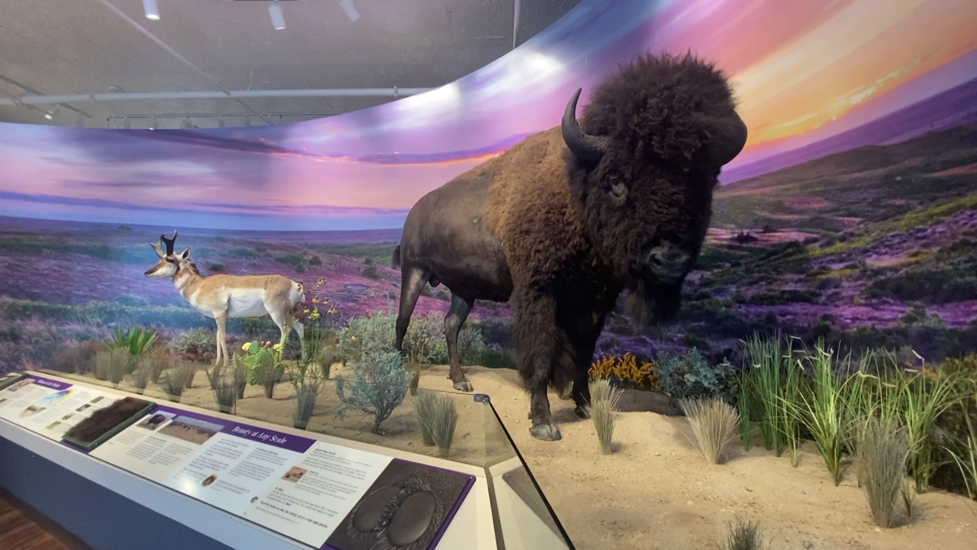 National Discovery Center in Lewistown