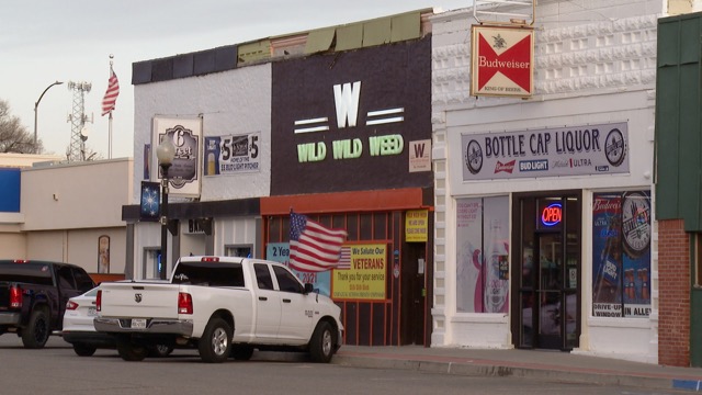 Wild Wild Weed Las Animas Medium.jpeg