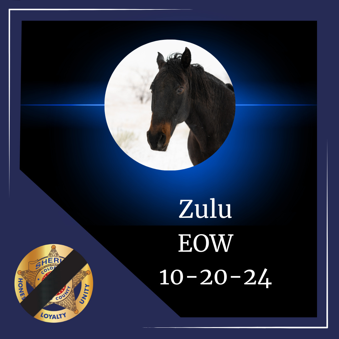 Zulu
