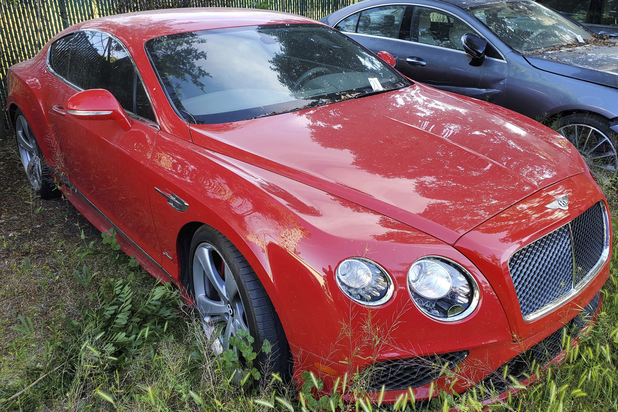 Luxury Cars Fraud