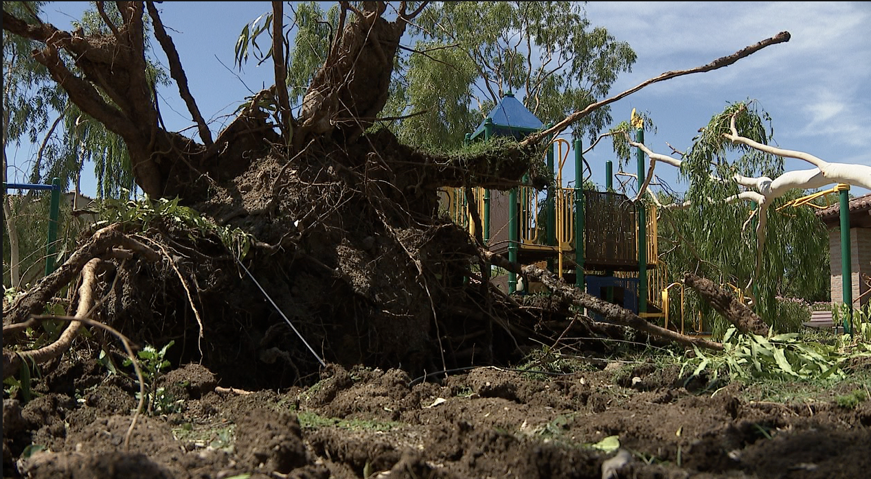 Screen Shot 2022-08-18 at 3.12.06 PM(3).png