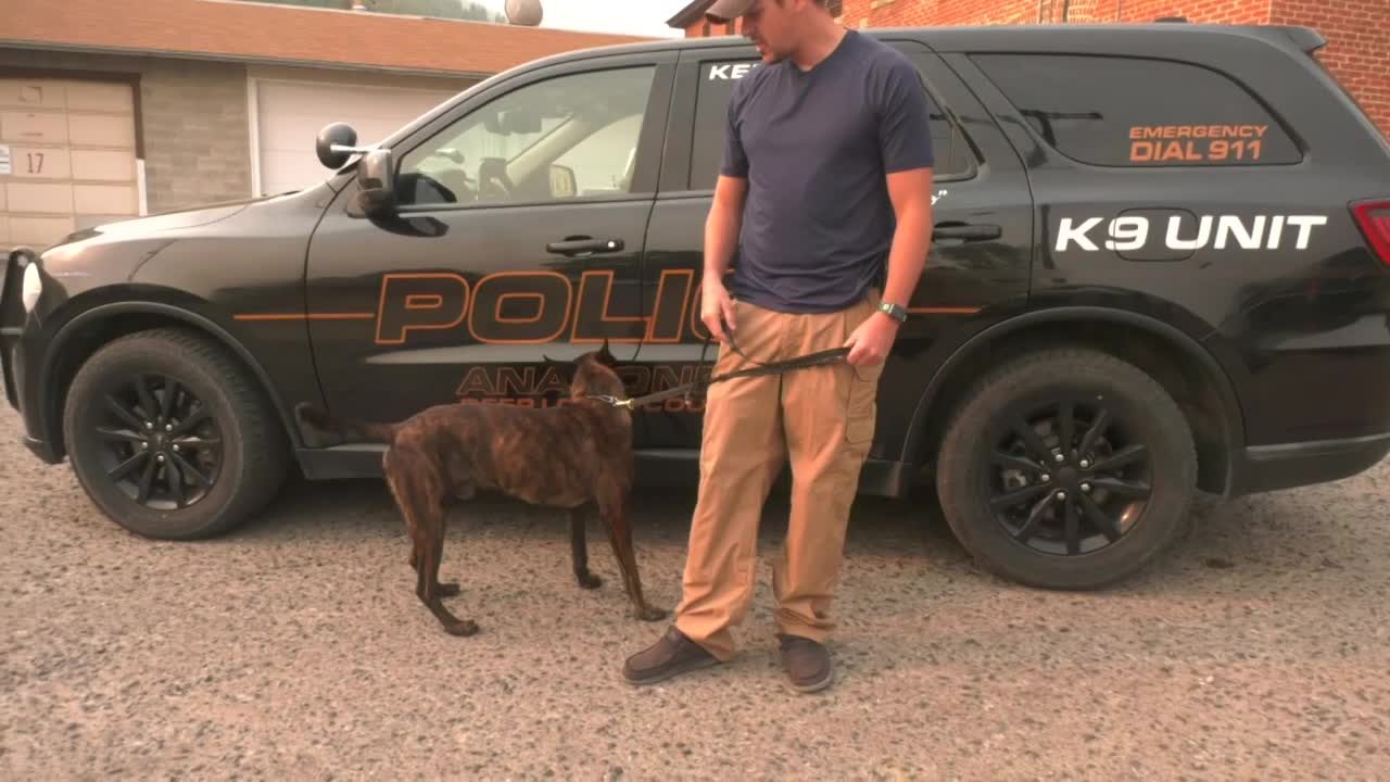 Poster image (15).jpg