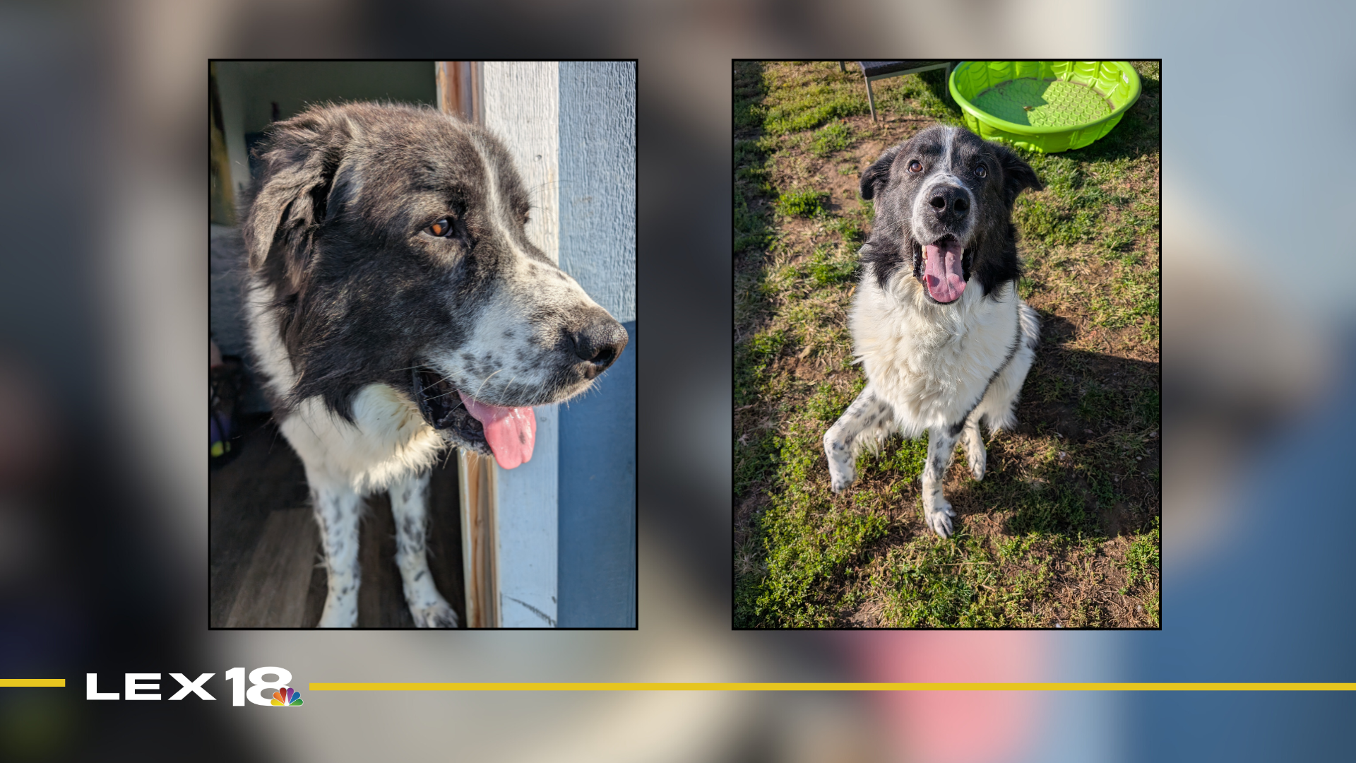 Featured Image Custom Edit (2).png