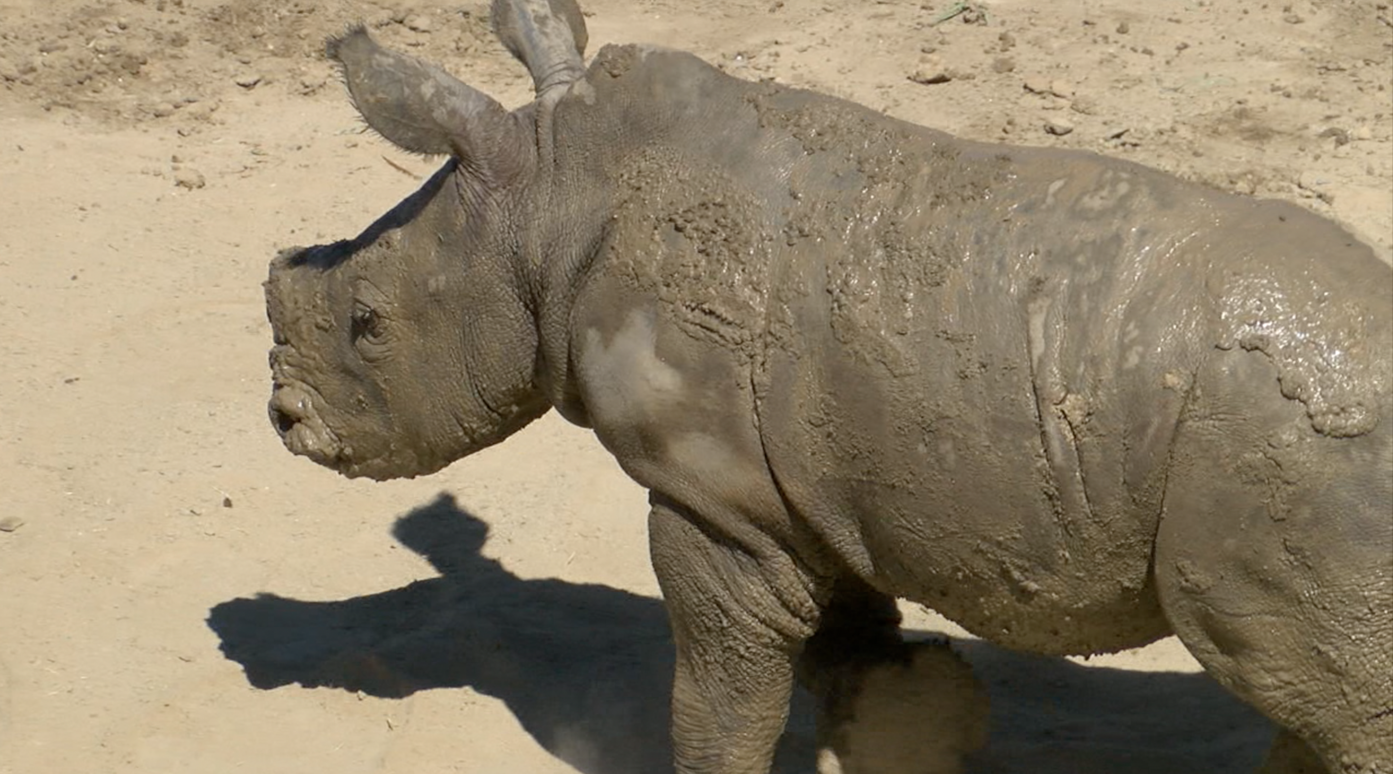 Screen Shot 2019-08-15 at 5.17.07 PM.png