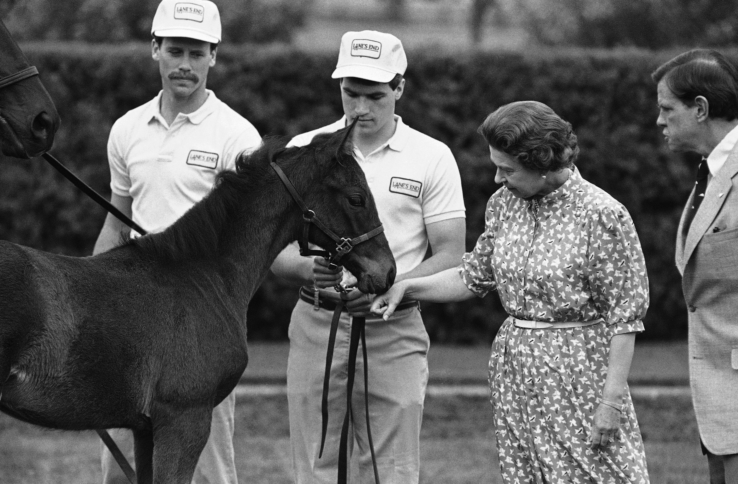 Queen Elizabeth II