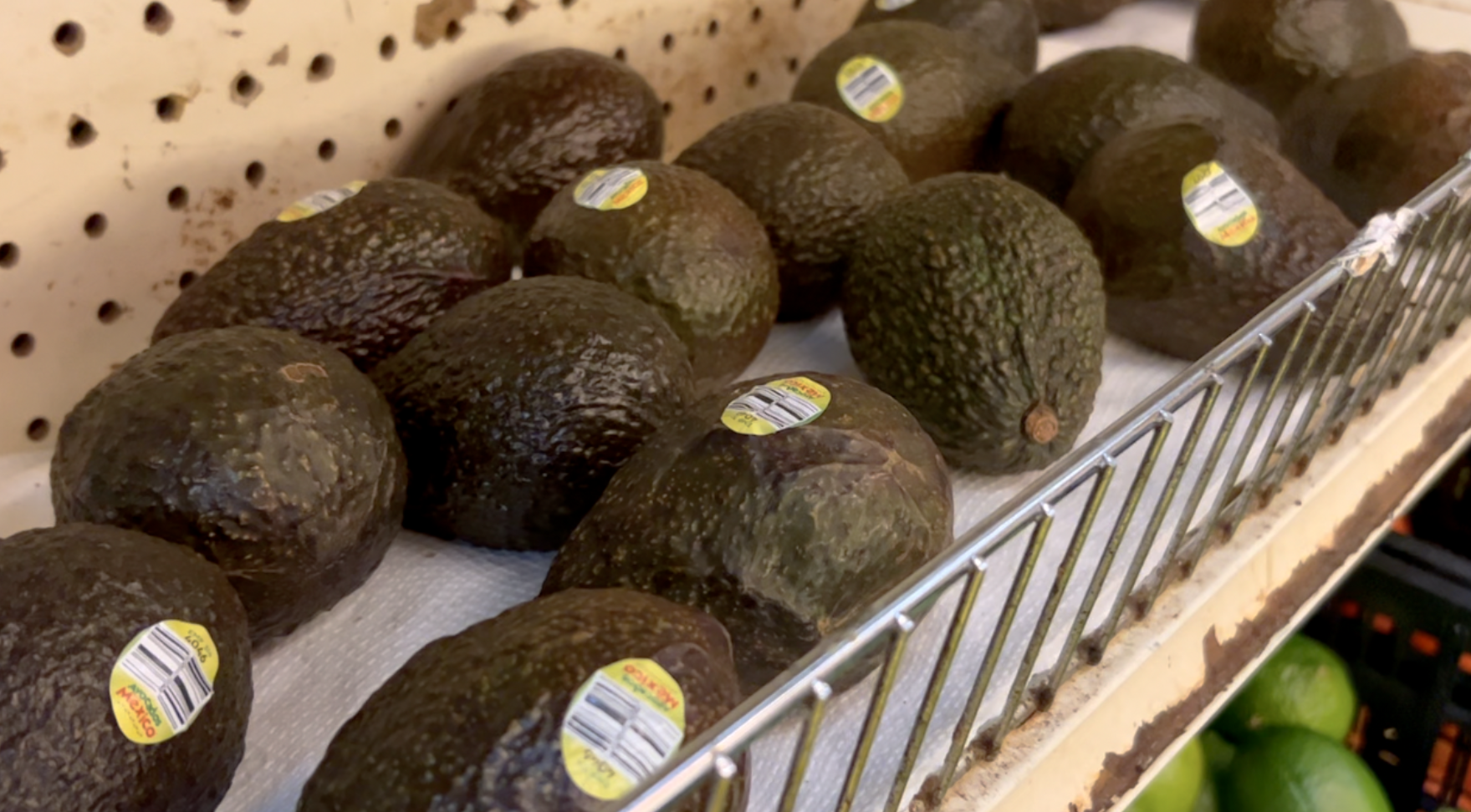 AVOCADOES.png