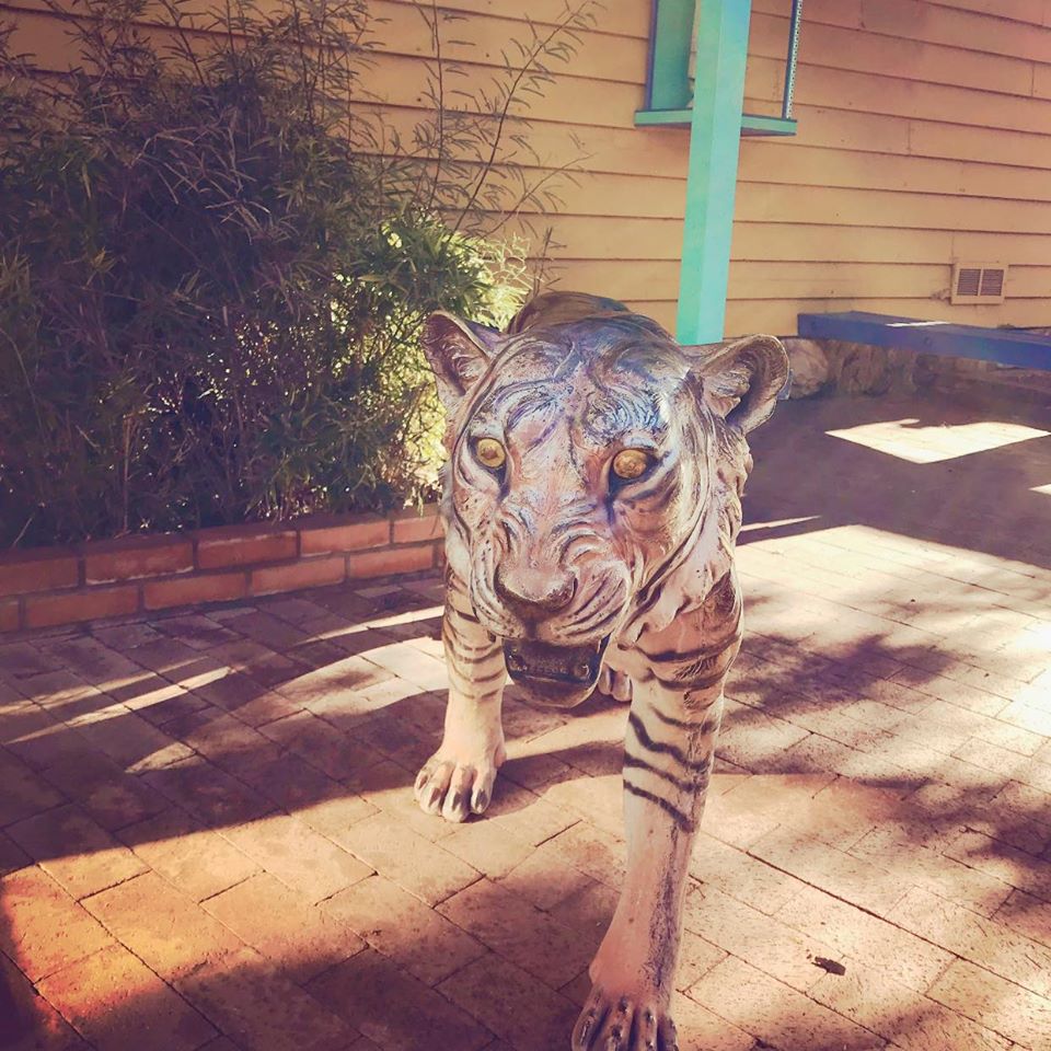 Tiger statue stolen from Trail Dust Town in Tucson