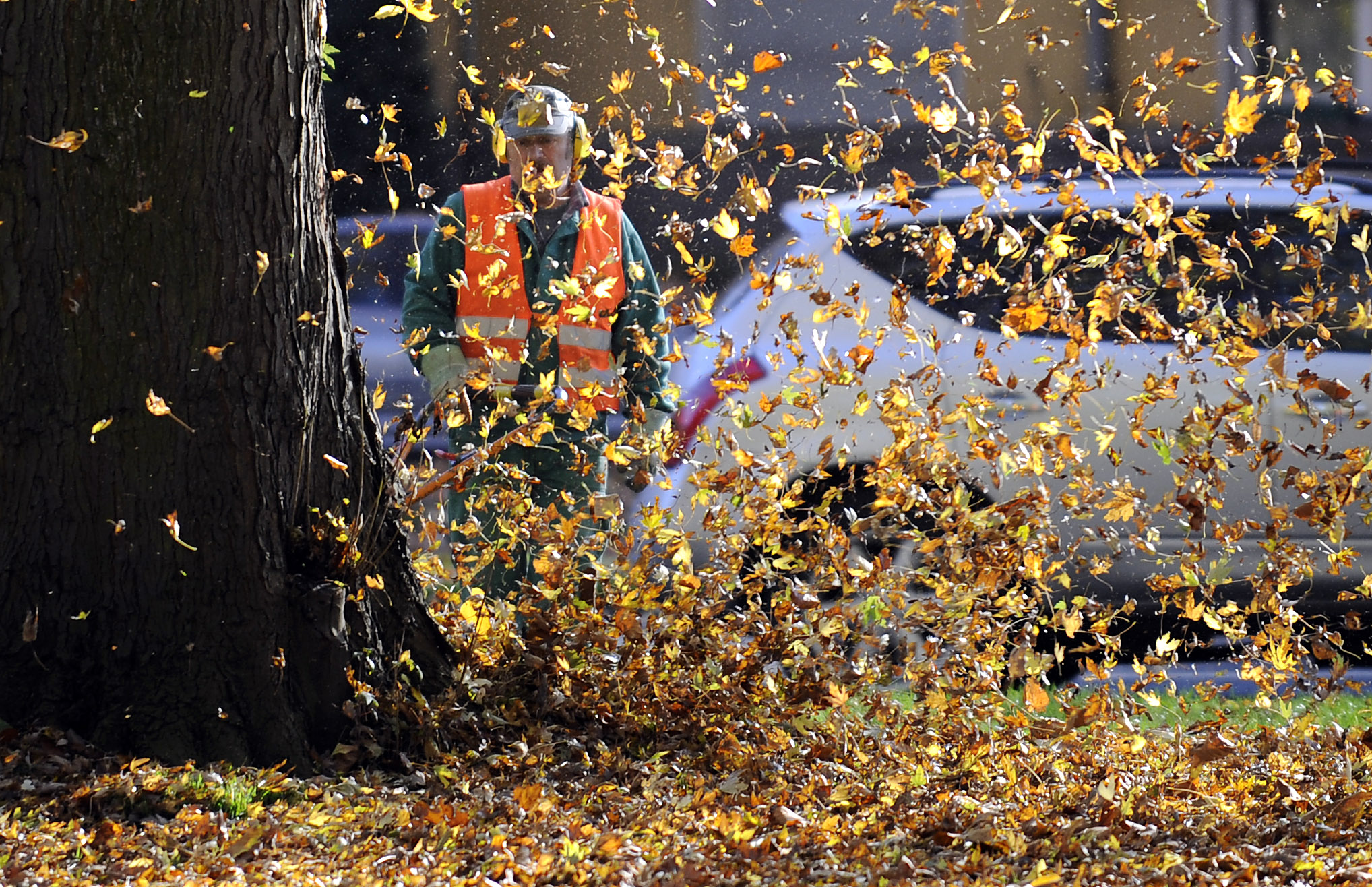 leaf blower leafblower