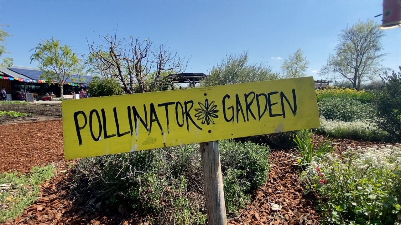 Edible Schoolyard Kern County File 