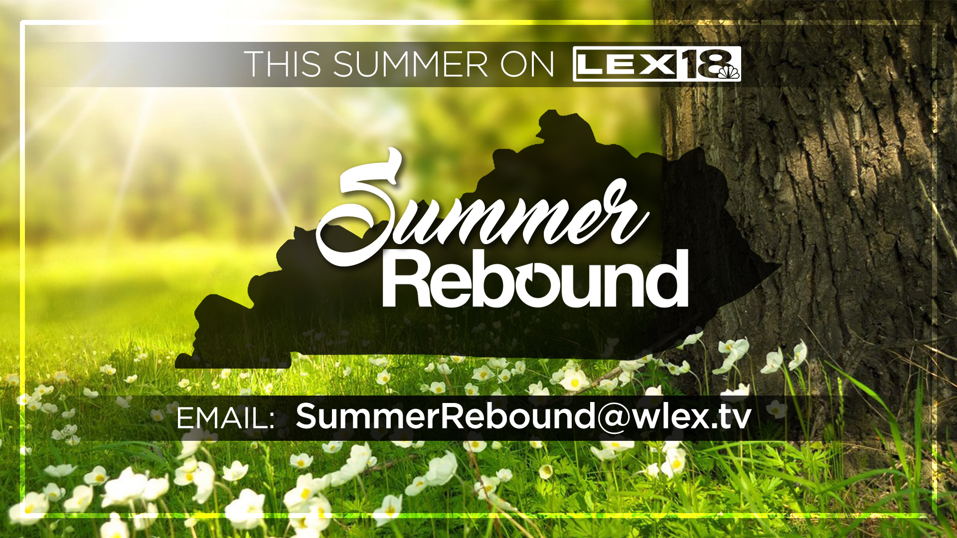 LEX 18 Summer Rebound