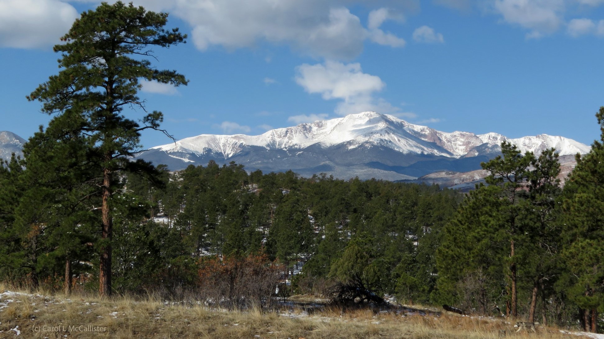 Carol McCallister pikes peak